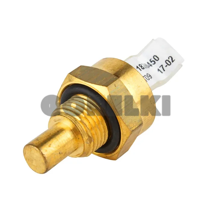 Датчик температуры Brahma ST09 Z G1/8 CH15 18200450 для газового котла