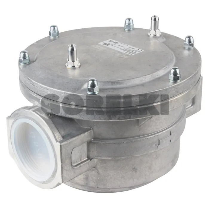 Газовый фильтр Kromschroder GFK50R10-6