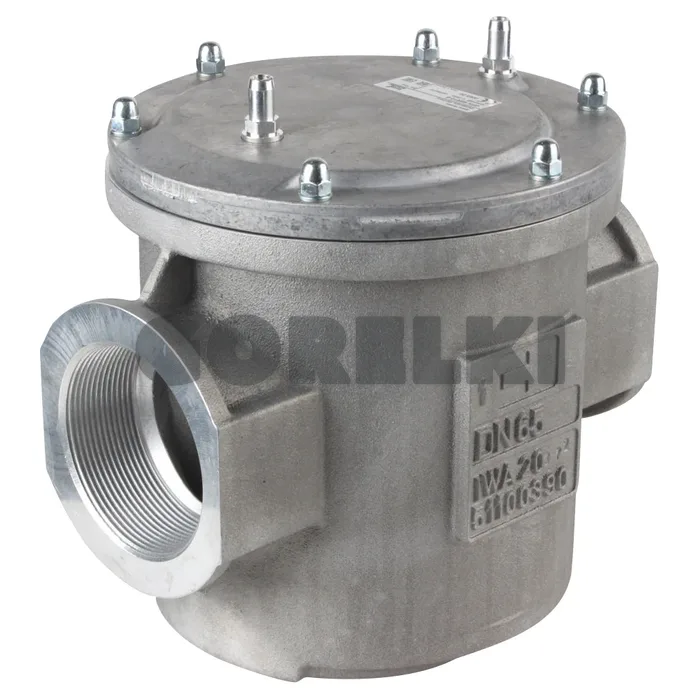 Газовый фильтр Kromschroder GFK65R10-6