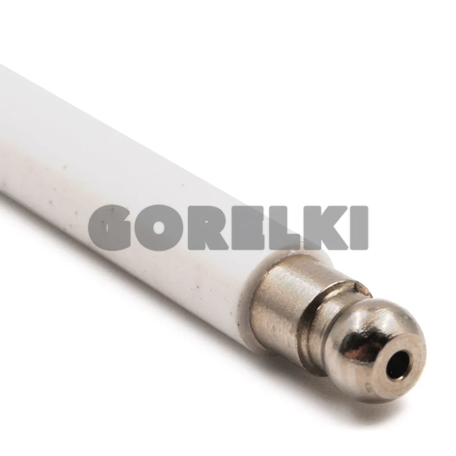 Электрод Ecoflam BFE01031/3