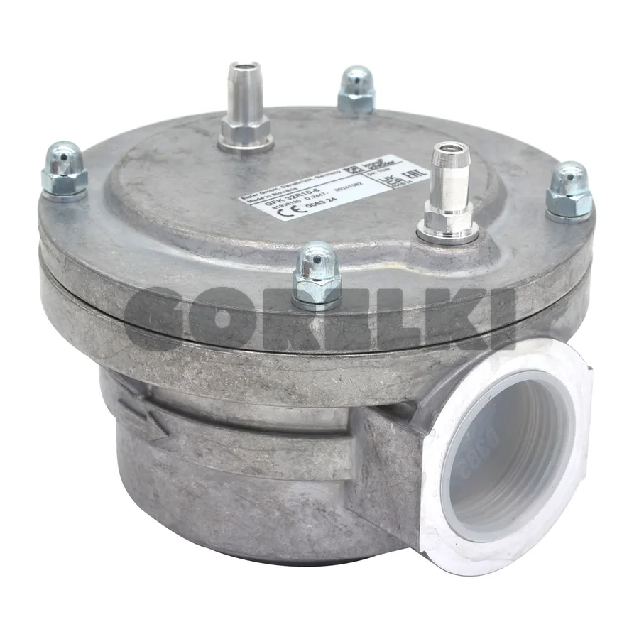 Газовый фильтр Kromschroder GFK 32R10-6